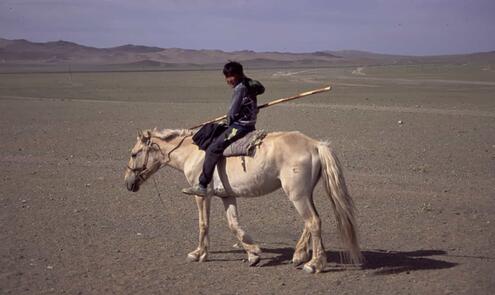 young Mongolian man atop a light colored horse