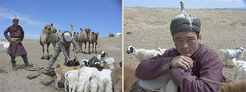 Nomad young man with his herd