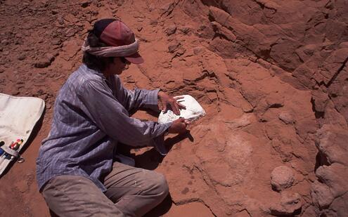 Amy sitting on red rocks applying plaster of Paris to a section