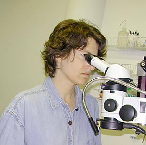 Amy Davidson intently looking in to microscope