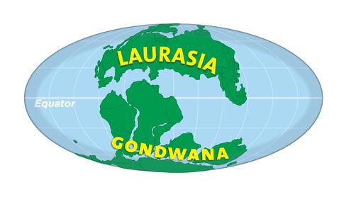 globe showing two landmases, top named "Laurasia" and bottom named "Gondwana."