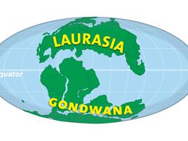 globe showing two landmases, top named "Laurasia" and bottom named "Gondwana."