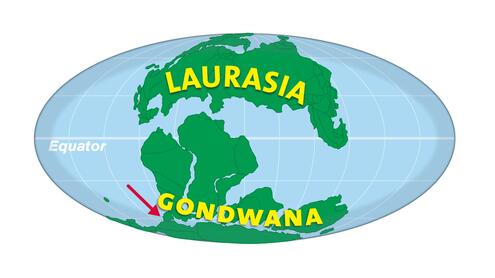 An arrow point at the southern part of Gondwana