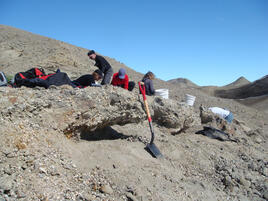 Team of scientist on an arid hillside scouring the area using shovels and buckets