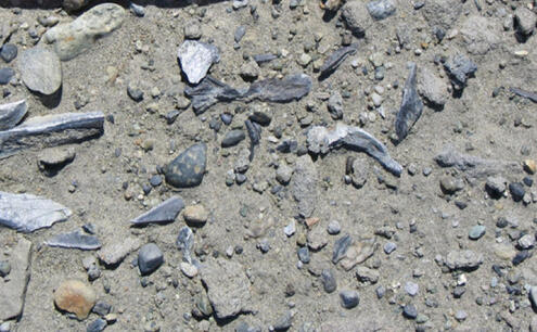 Gray little and middle size rocks and maybe fossils on light brown sand.