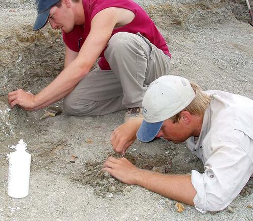 Sterling Nesbitt and colleague digging for fossils