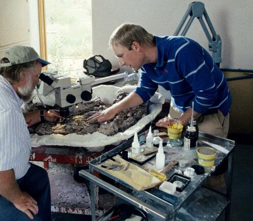 Sterling Nesbitt and colleague examining a fossil