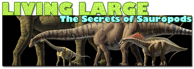 Living Large: The Secrets of Sauropods with picture of Sauropods in a line-up