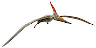 pterosaur game