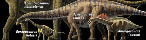 Colorful illustration depicting different sauropods (plant eaters with long necks and whip-like tails), including apatosaurus louisae, and more.