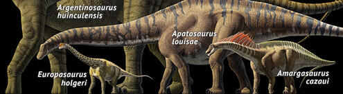 Colorful illustration depicting different sauropods (plant eaters with long necks and whip-like tails), including apatosaurus louisae, and more.