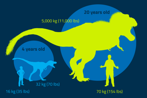 Silhouette of a man beside silhouette of an adult T. rex.
