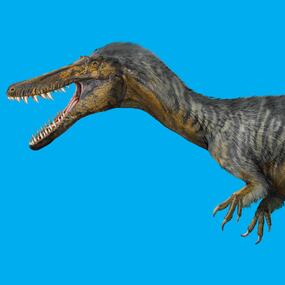 Dinosaur with long snout, like a crocodile.