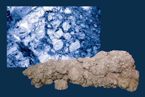 coprolite fossil with coprolite slice in background