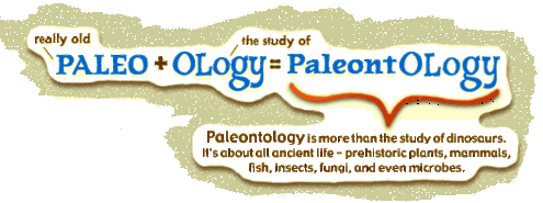 Text reading "(really old) PALEO + OLogy (the study of) = PaleontOLogy" plus a broader definition of Paleontology as the study of all ancient life.