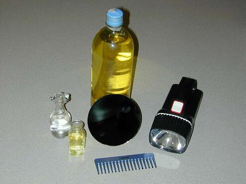 mirror, comb, flashlight, various bottles of liquids needed