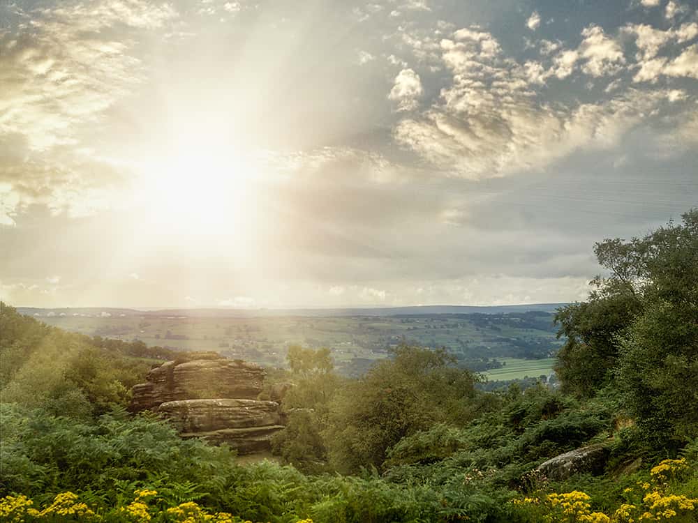 sunlight shining on green landscape