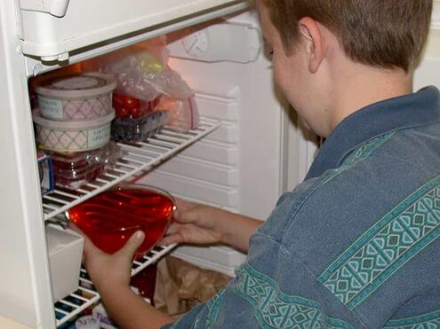 placing bowl of Jell-O mixture into a refrigerator