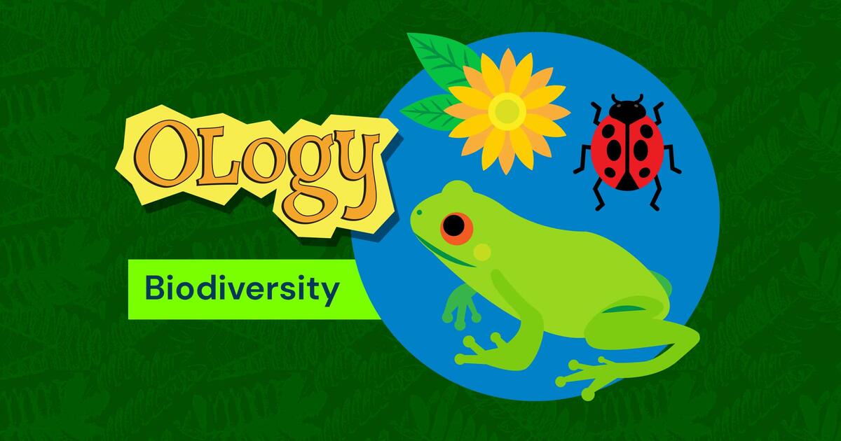 Biodiversity for Kids: OLogy | AMNH