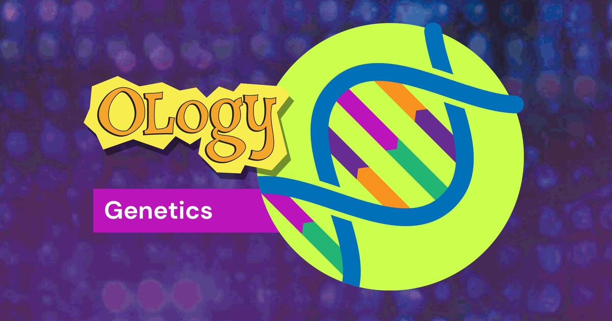 Genetics for Kids: OLogy | AMNH