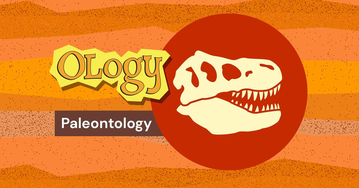 Paleontology for Kids OLogy AMNH