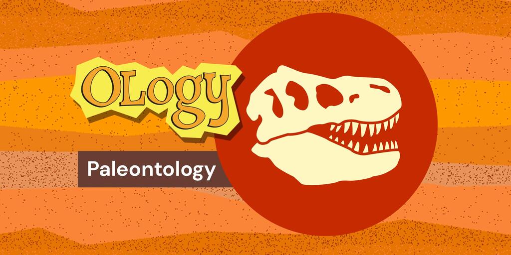 About paleontology hotsell