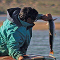 fishing_4