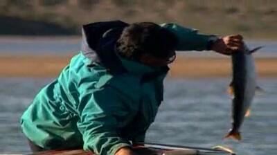 An Inuit man on a boat pulling a large fish from the river