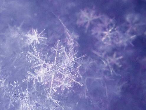 close up of snowflakes