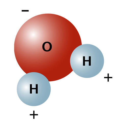 two hydrogen atoms and one oxygen atom combined to show a water molecule
