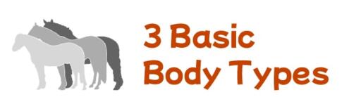 3 Basic Body Types button with horse silhouette icon