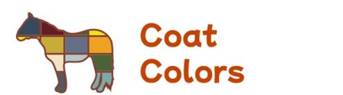 Coat Colors button with patchwork colored horse icon