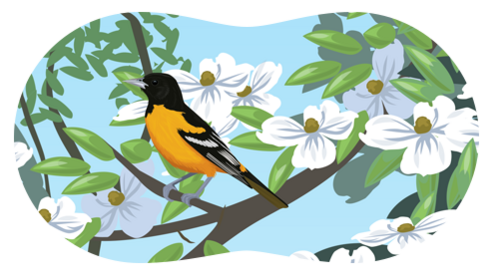 illustration of orange and black bird sitting on tree branch