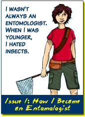 Comic panel captioned "Issue 1: How I Became an Entomologist" with cartoon of a person holding net and text "...When I was younger, I hated insects."