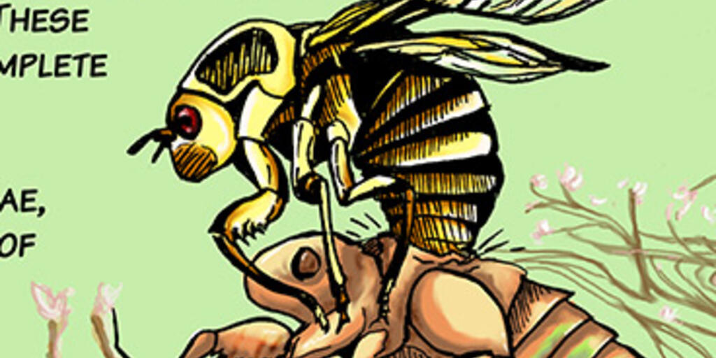 Issue 1: How I Became an Entomologist | AMNH