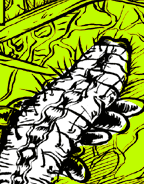 caterpillar on a leaf