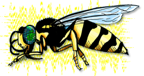 wasp sideview