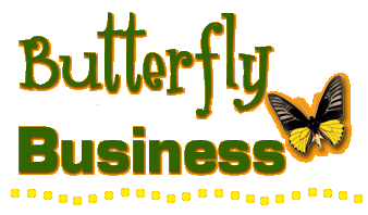 Stylized, colorful text reading "Butterfly Business" with "Business" underlined in bright dots and a butterfly beside the final "s."