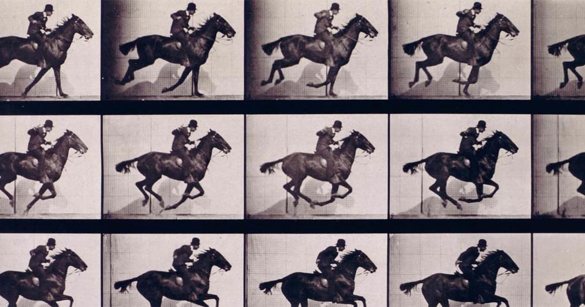 Horse Gaits Flipbooks Walk Trot And Gallop Amnh