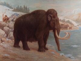 Woolly mammoth