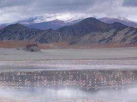 Laguna Grande, Argentina