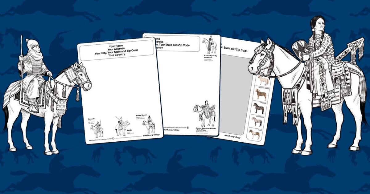 Make Your Own Horse Stationery Amnh