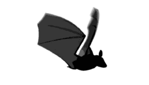 bat