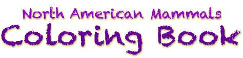 header_main_mobile