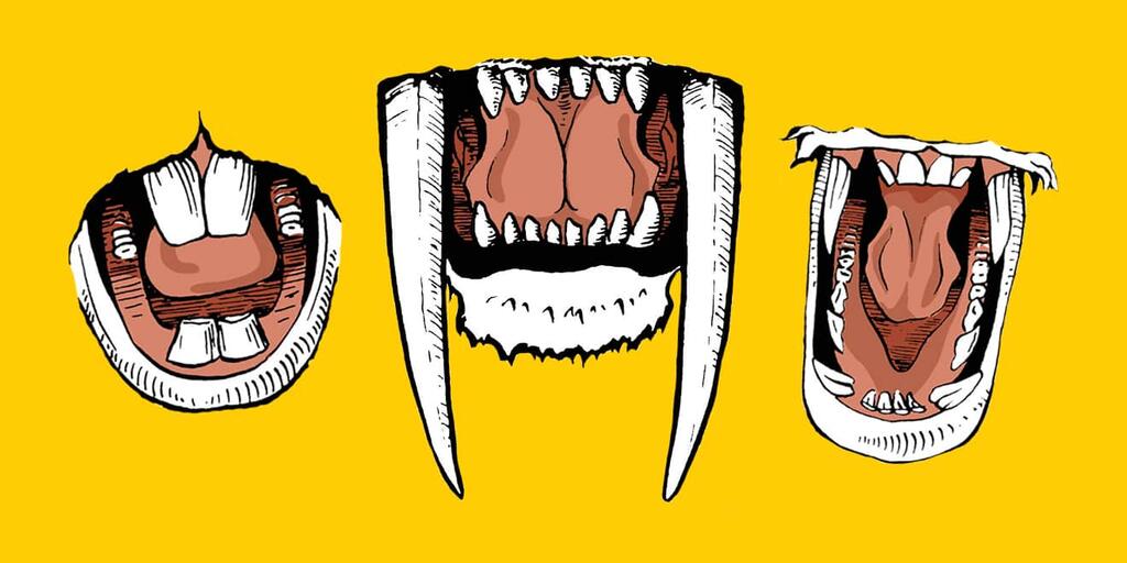 Super Teeth | AMNH