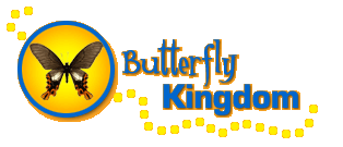 Stylized text reading "Butterfly Kingdom" beside a circular illustration of a butterfly underlined by a bright, curving line of dots.