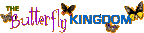 Stylized text reading "The Butterfly Kingdom" with four illustrated butterflies around the text.