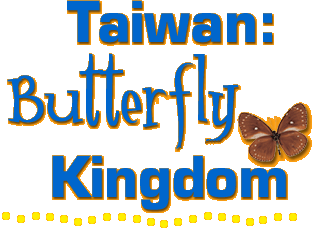 Taiwan: Butterfly Kingdom | AMNH