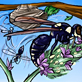 insects and flowers
