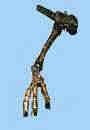 olc_004_alxasaurus_elesitaiensis_story
